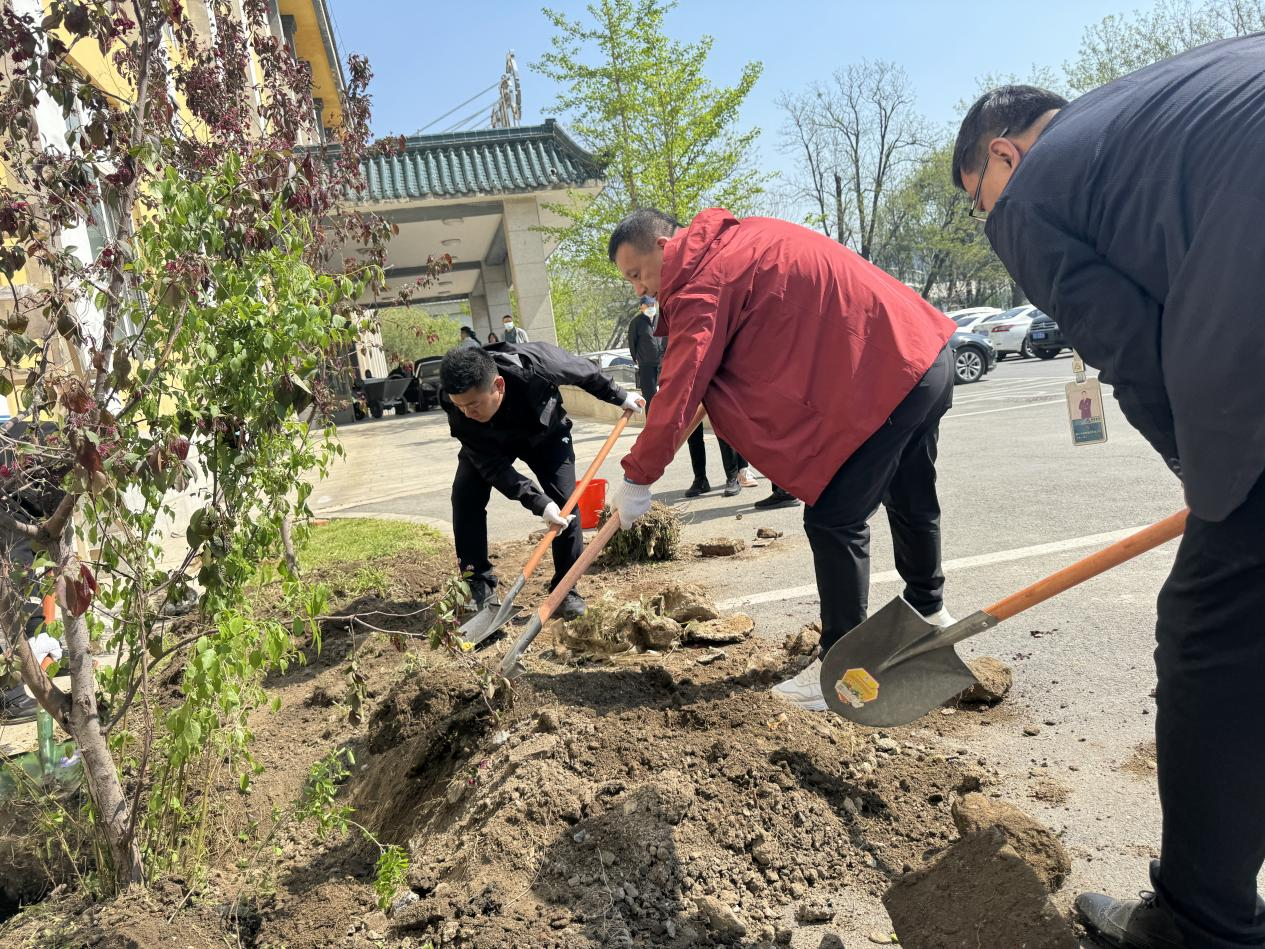 植樹造林添新綠，共創(chuàng)秀美鋼都景